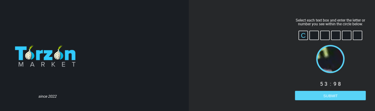 TorZon Market dashboard showing verified marketplace interface
